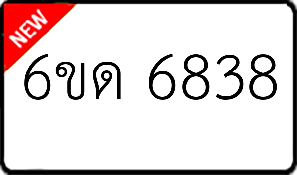 6ขด 6838
